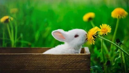 欧冠-北京国安新帅：将带着对胜利的渴望出发